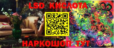 шишки Лесосибирск
