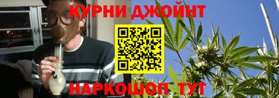 шишки Лесосибирск