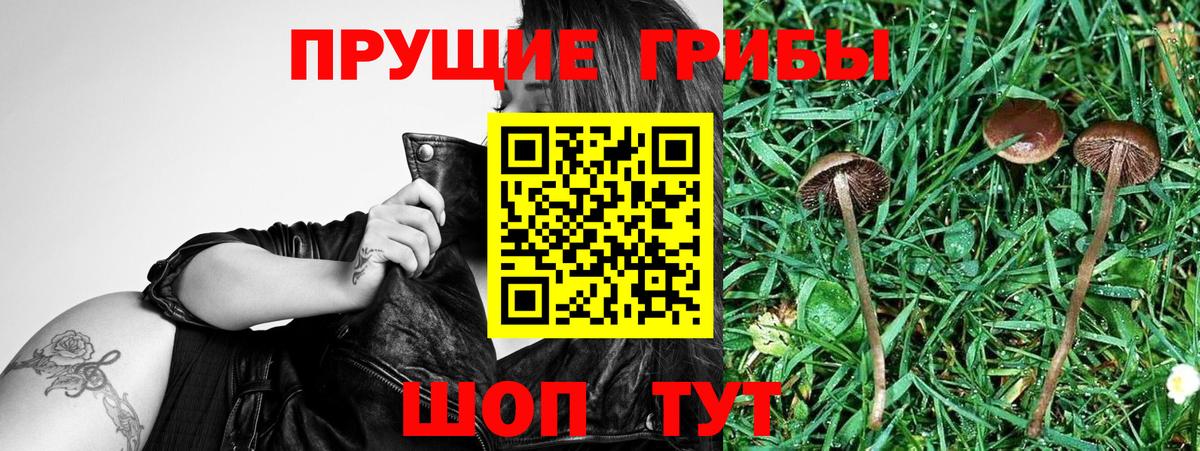 Галлюциногенные грибы GOLDEN TEACHER Бузулук