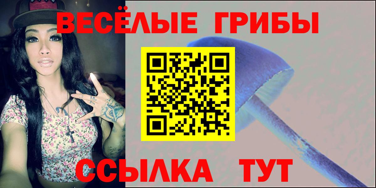 Псилоцибиновые грибы MAGIC MUSHROOMS  Псилоцибиновые грибы MAGIC MUSHROOMS  Бузулук  Вход с VPN 
